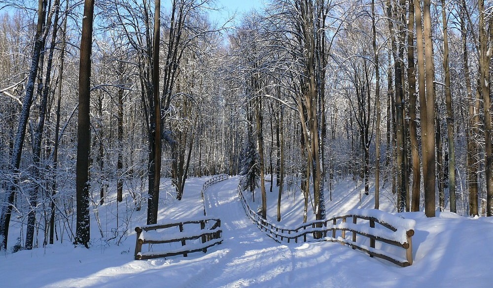 Фото Отрада