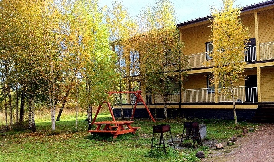 Фото Березки