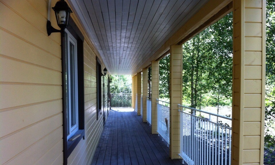 Фото Березки