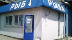 Rybnaya kompaniya As-m (Novo-Astrakhanskoye shosse, 75к2) ، الأسماك والمأكولات البحرية