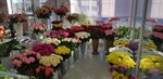 Софья (derevnya Tsibino, ulitsa Vorobyovka, 42А), floristeria