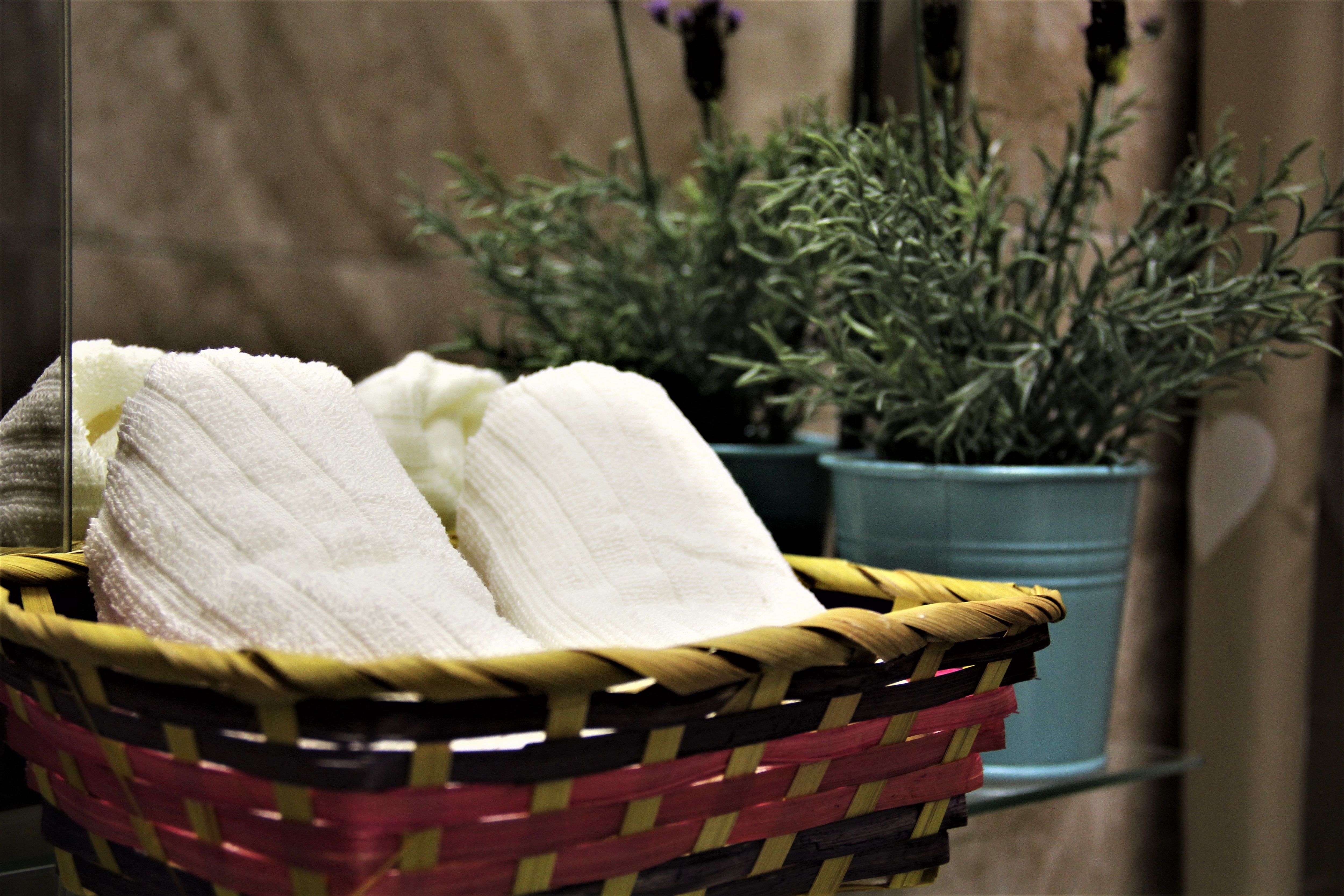 Фото Бутик-Отель Прованс