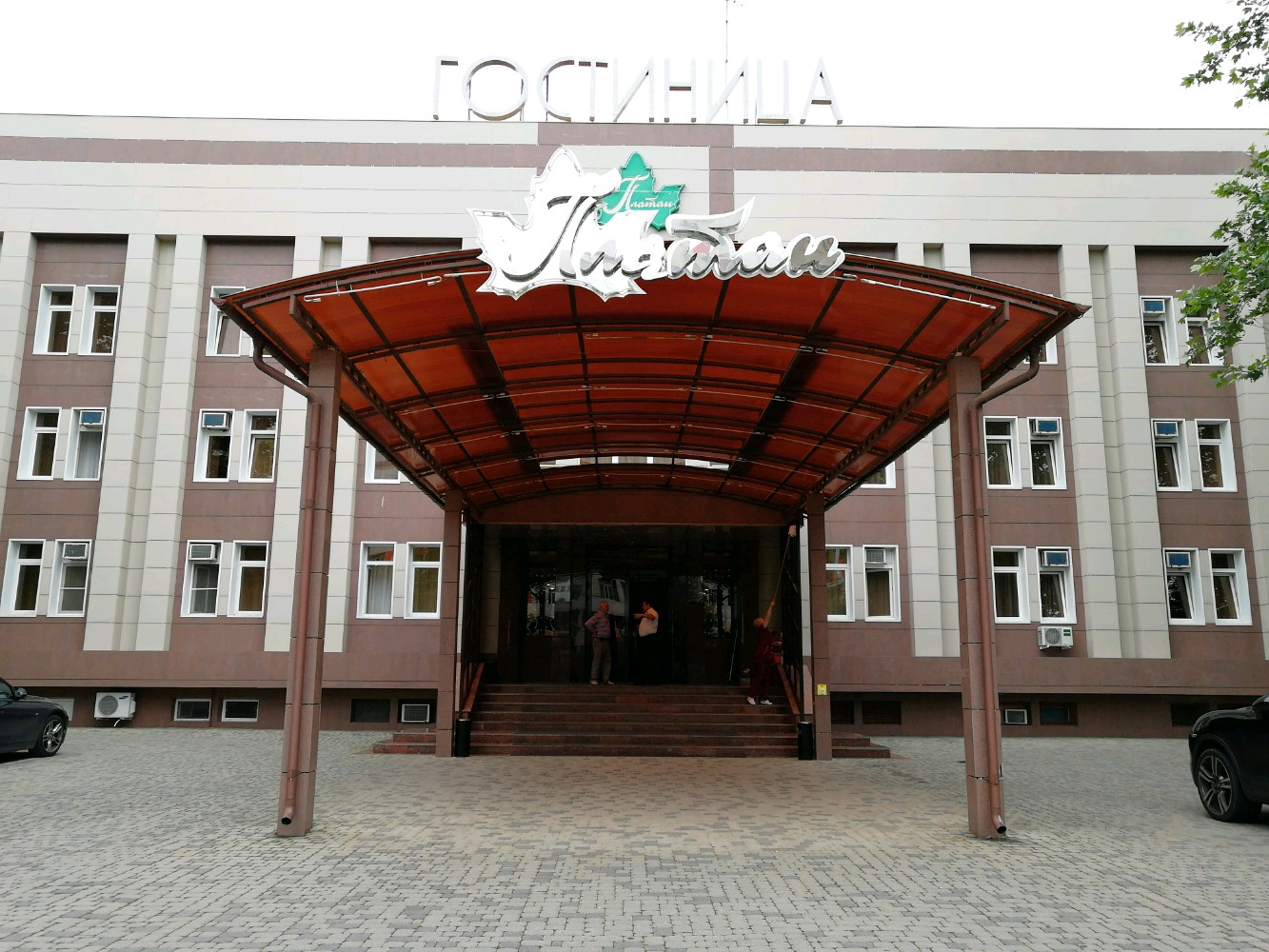 Фото Платан