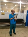 Кот и Пёс (Теренинский пер., 9, Калуга), ветеринарная клиника в Калуге