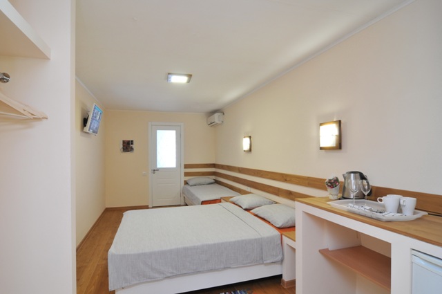 Фото Кактус