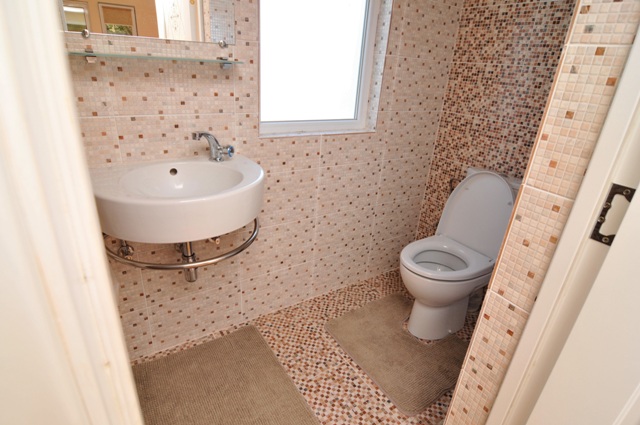 Фото Кактус