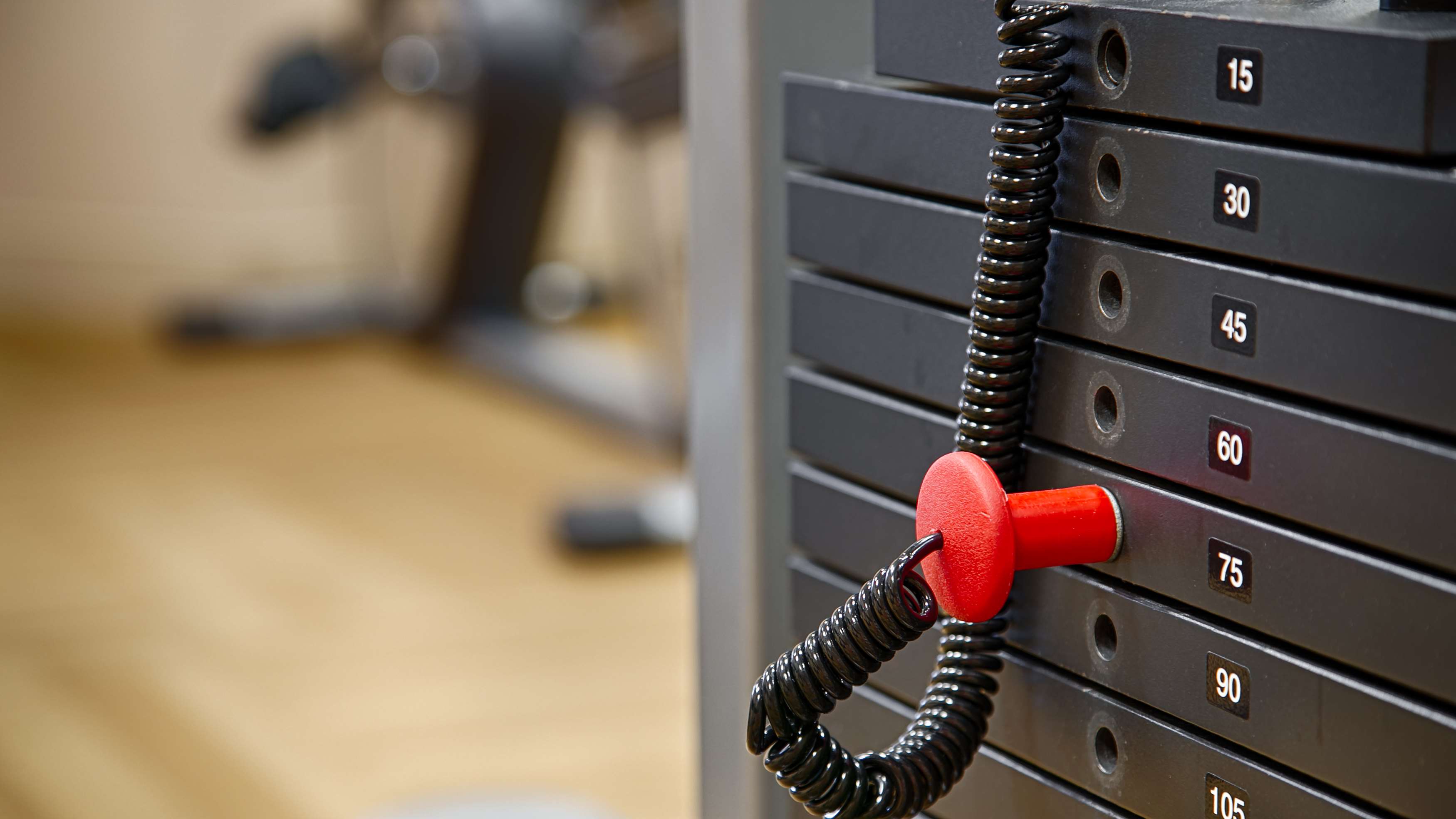 Фото Best Western Orlando Theme Parks