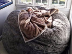 Lovesac (штат Массачусетс, Саффолк-Каунти, Бостон, Boylston Street), магазин мебели в Бостоне