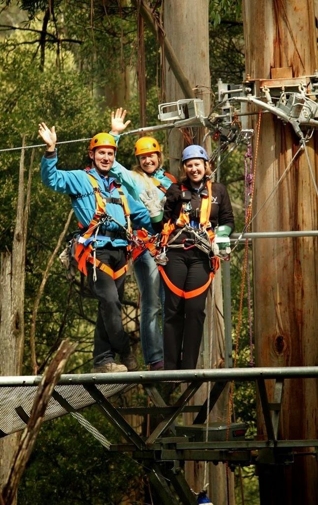 Landmark, attraction Otway Fly Treetop Adventures, Victoria, photo