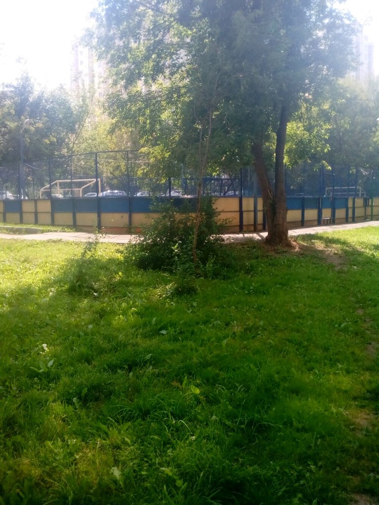 Спортивный комплекс Дворовая территория, Москва, фото