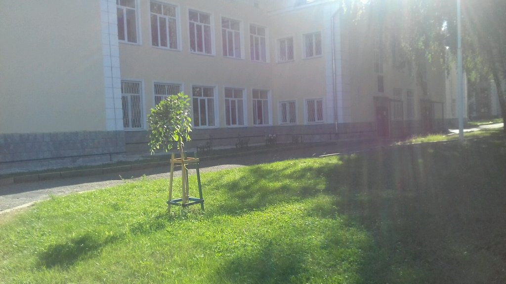 Гимназия no 36 ул лядова 7 фото