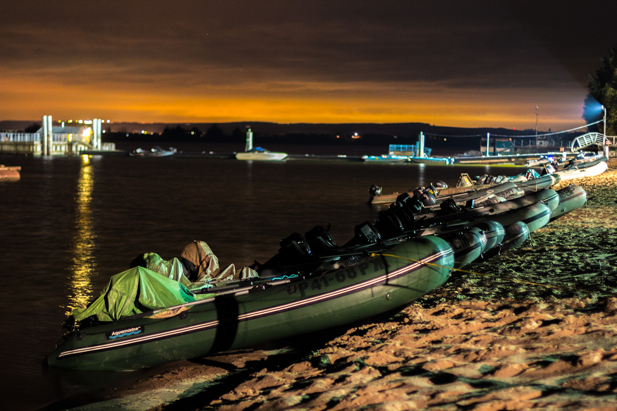 Фото Подсолнух
