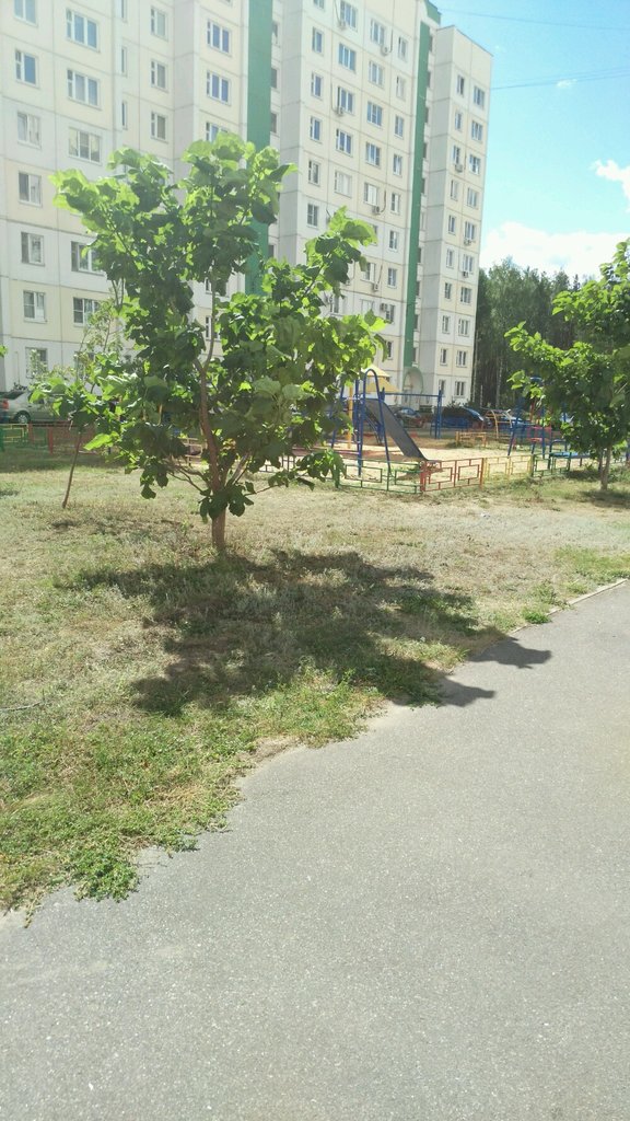 Playground Playground, Voronezh, photo