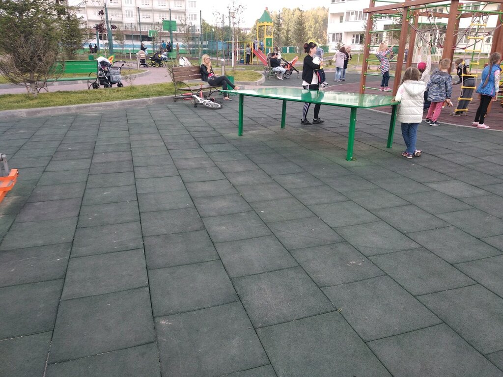 موقع للنشاط الرياضي Площадка для настольного тенниса ، نوفوسيبيرسك، صورة