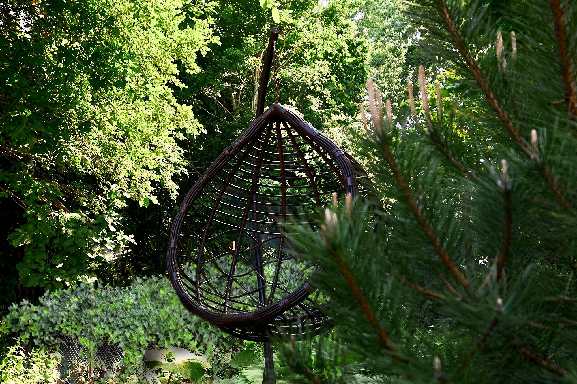 Фото Заречье