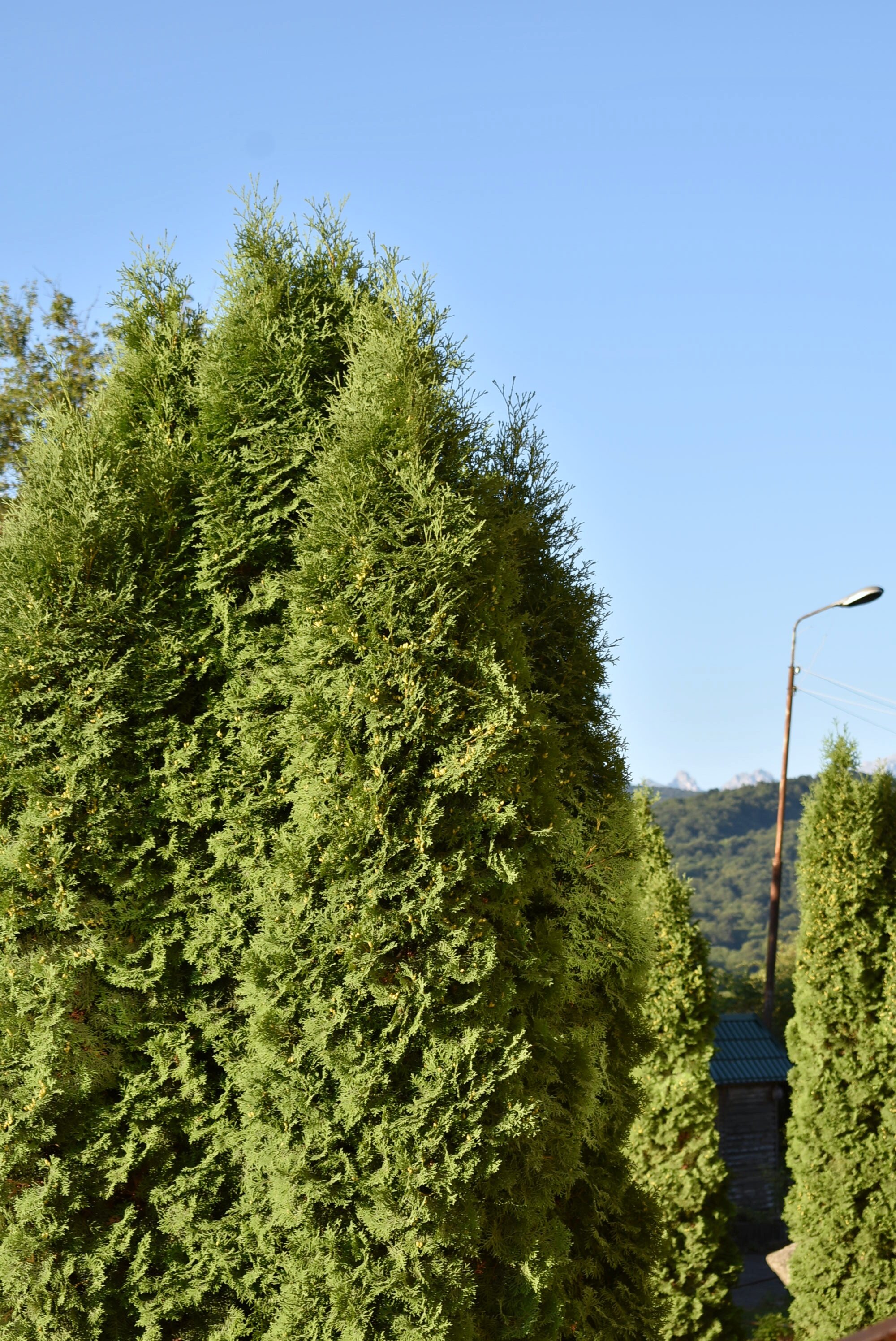 Фото Экстримтур