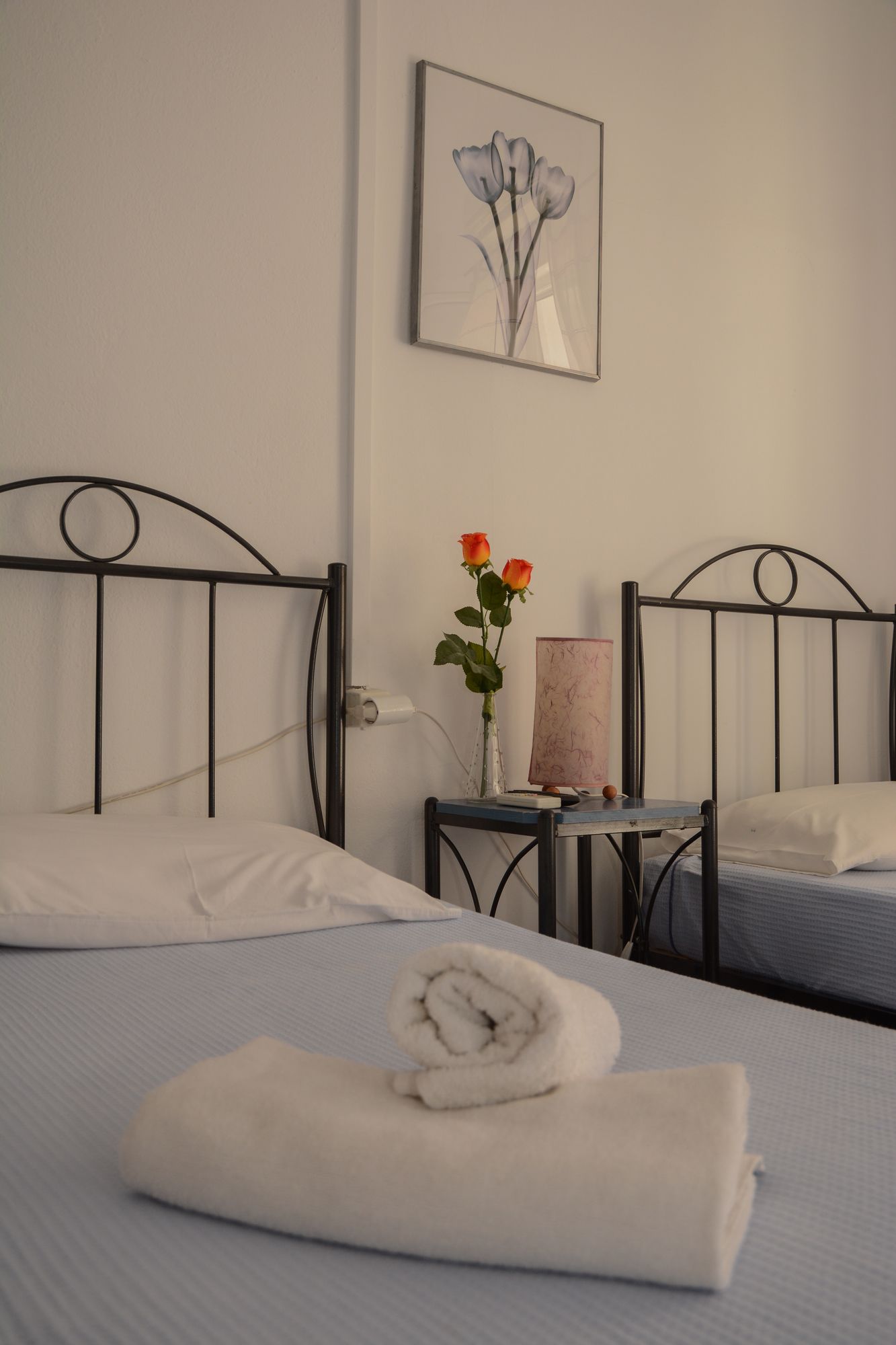 Фото Studio Hermes