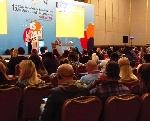 Translation agency Edf Conference Interpretation, Ankara, photo