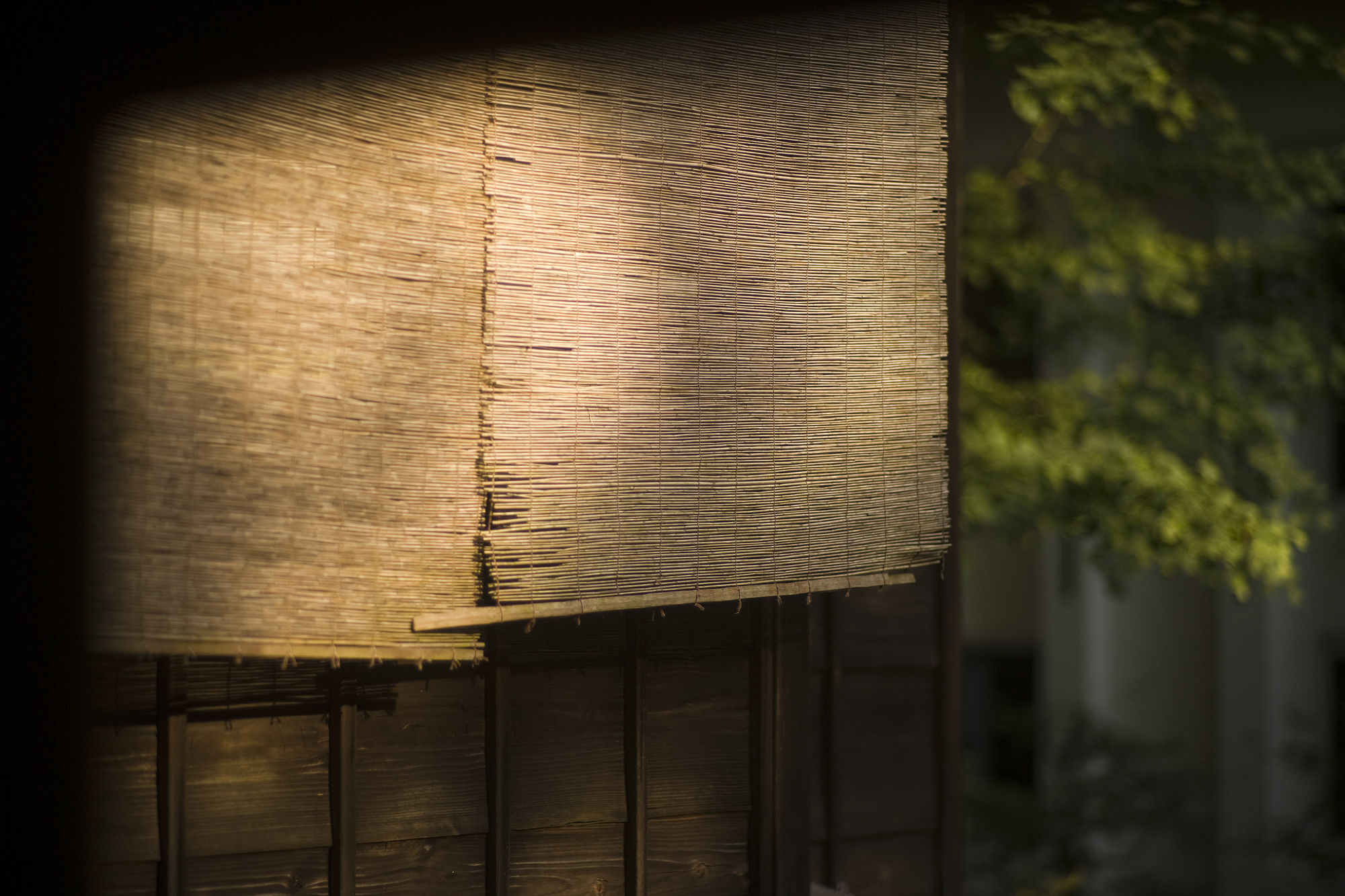 Фото Motoyu Ishiya