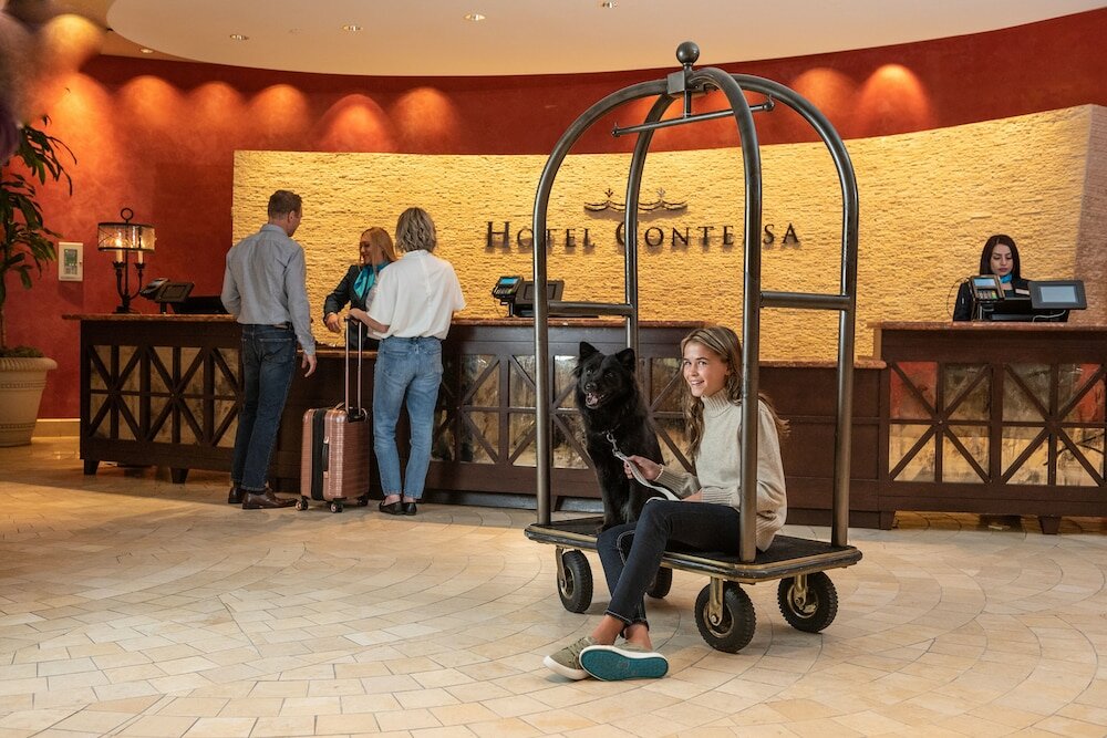 Фото Hotel Contessa