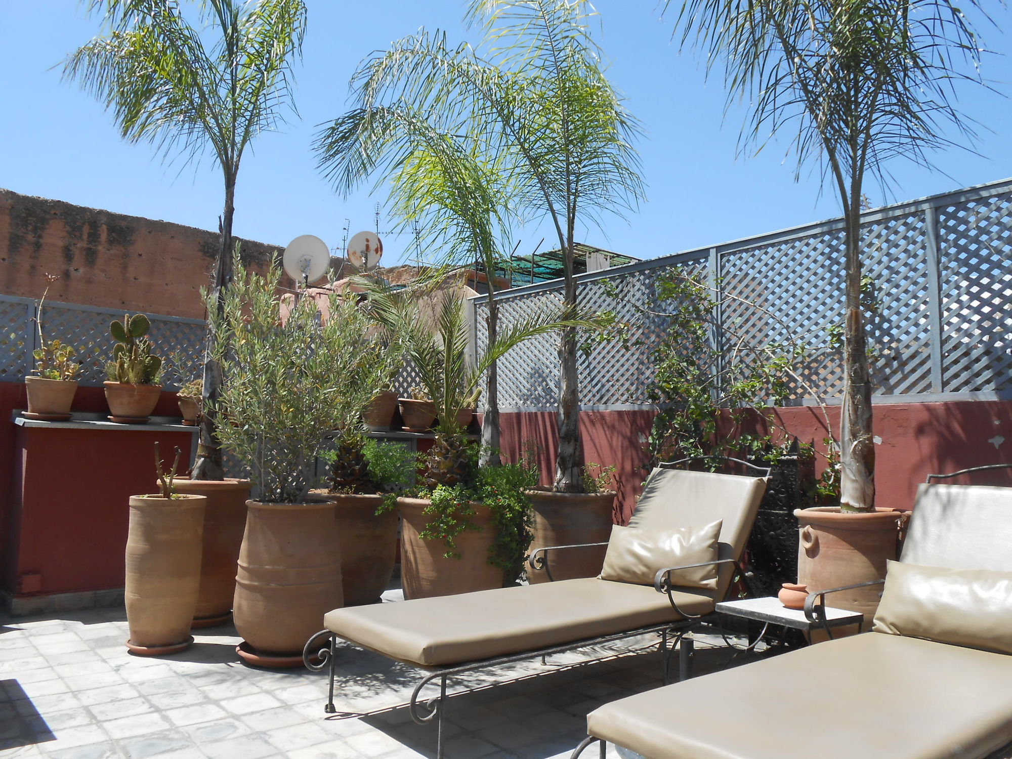 Фото Riad Alegria