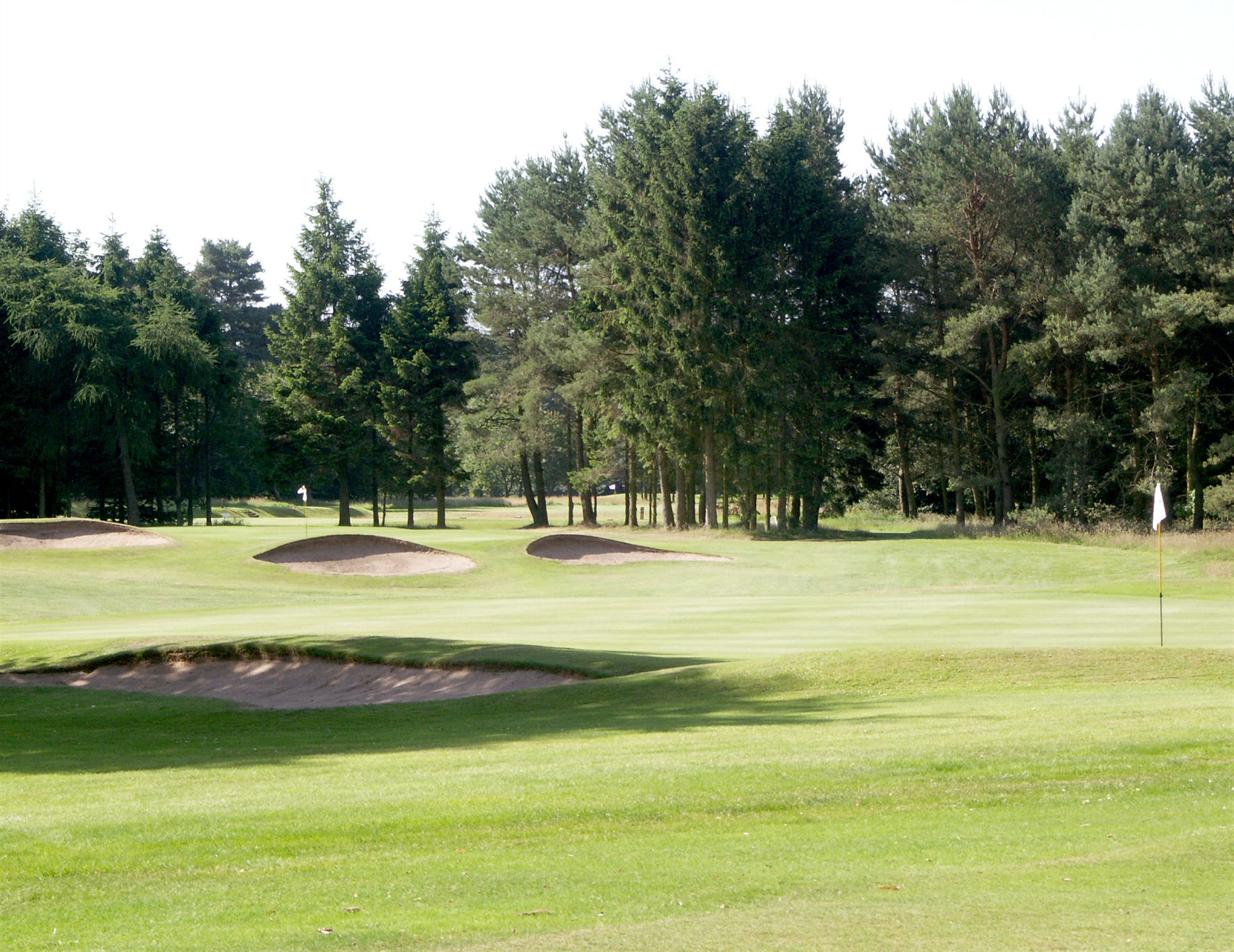 Фото The Green Hotel Golf & Leisure Resort