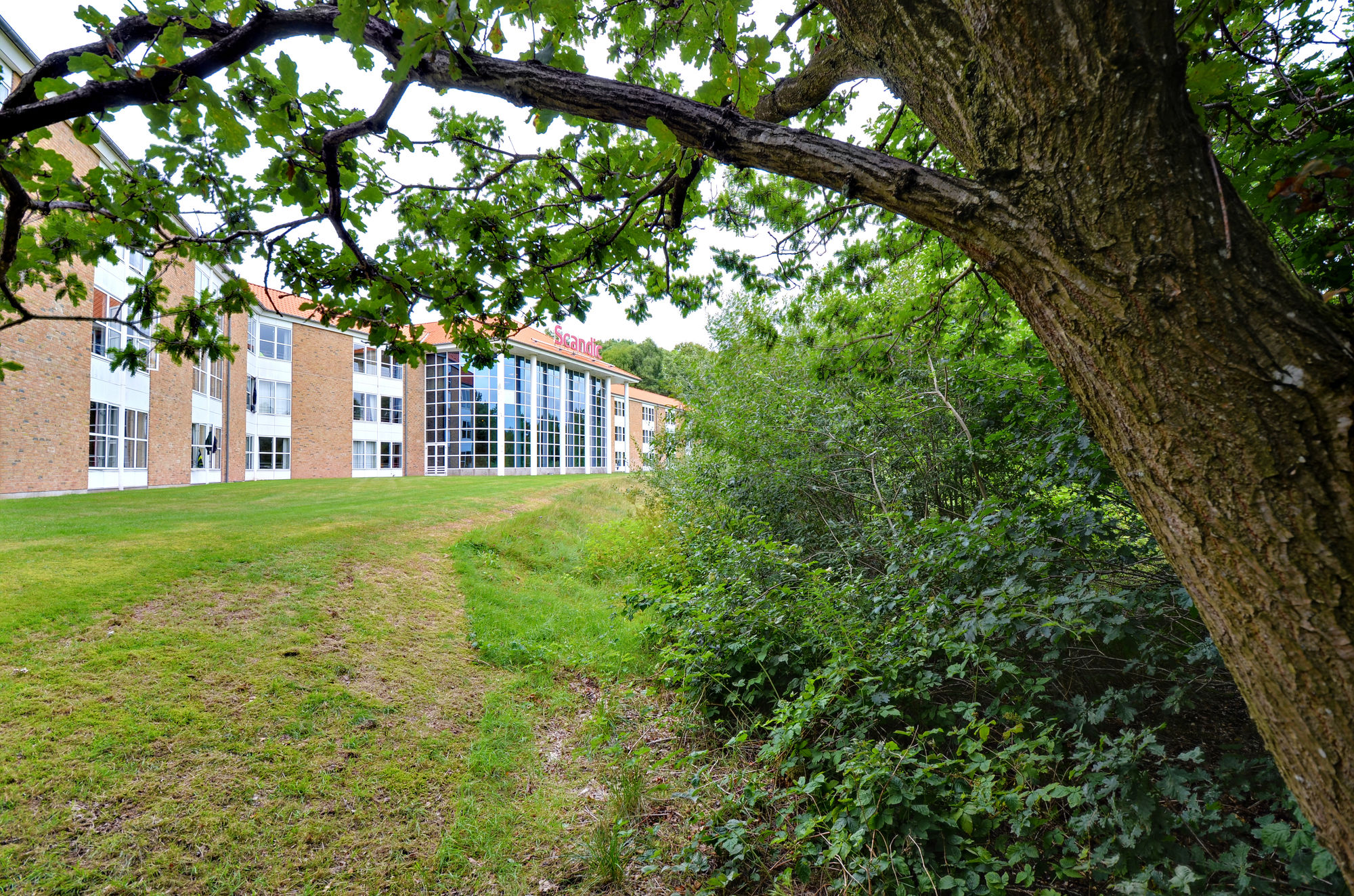 Фото Scandic Silkeborg