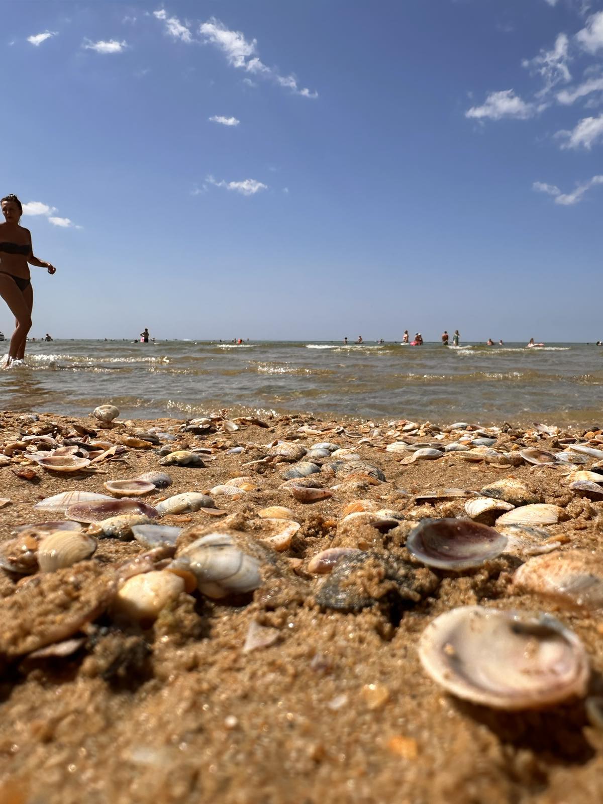 Фото Эмеральдика Family Beach Hotel