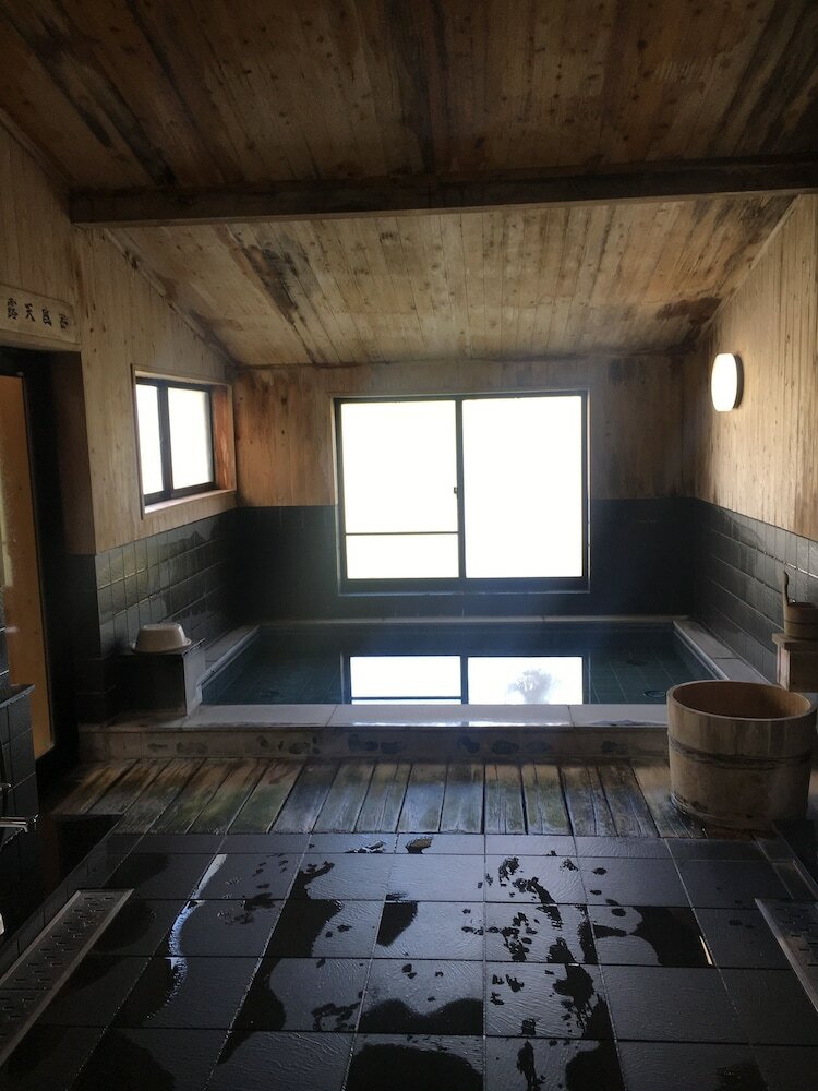 Фото Hakuba Alpine Hotel