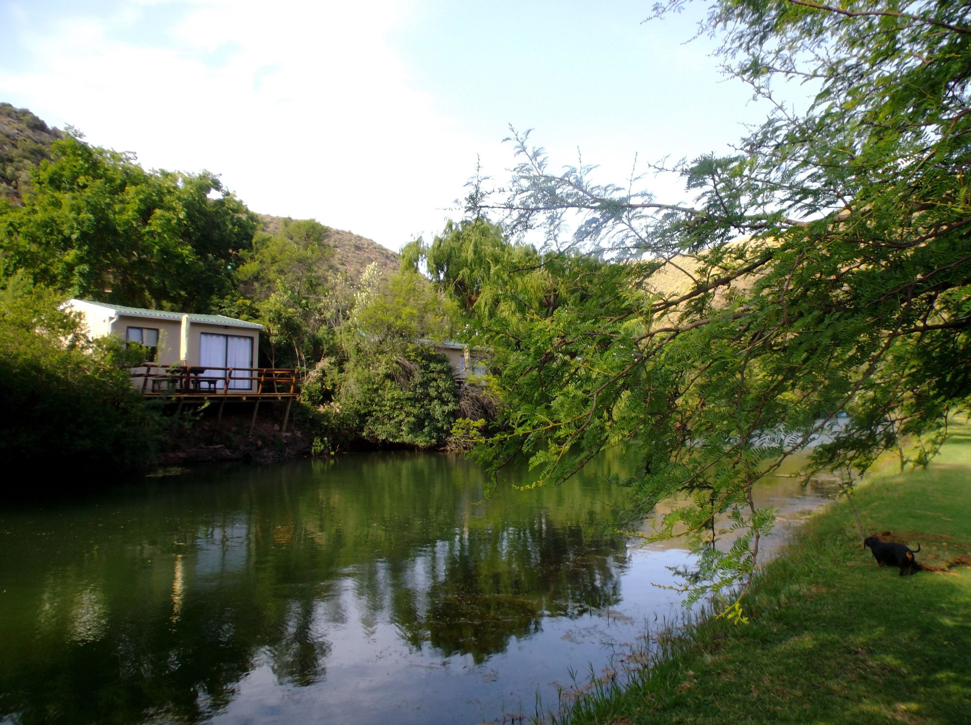 Фото Old Mill Lodge, Working Ostrich Farm & Restaurant, Oudtshoorn
