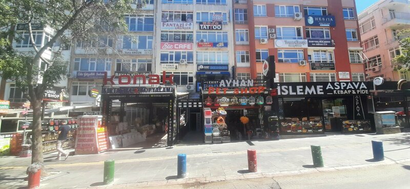 Kattalar uchun porno analingus