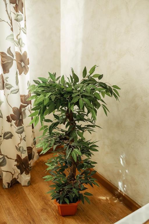 Фото Разгуляй