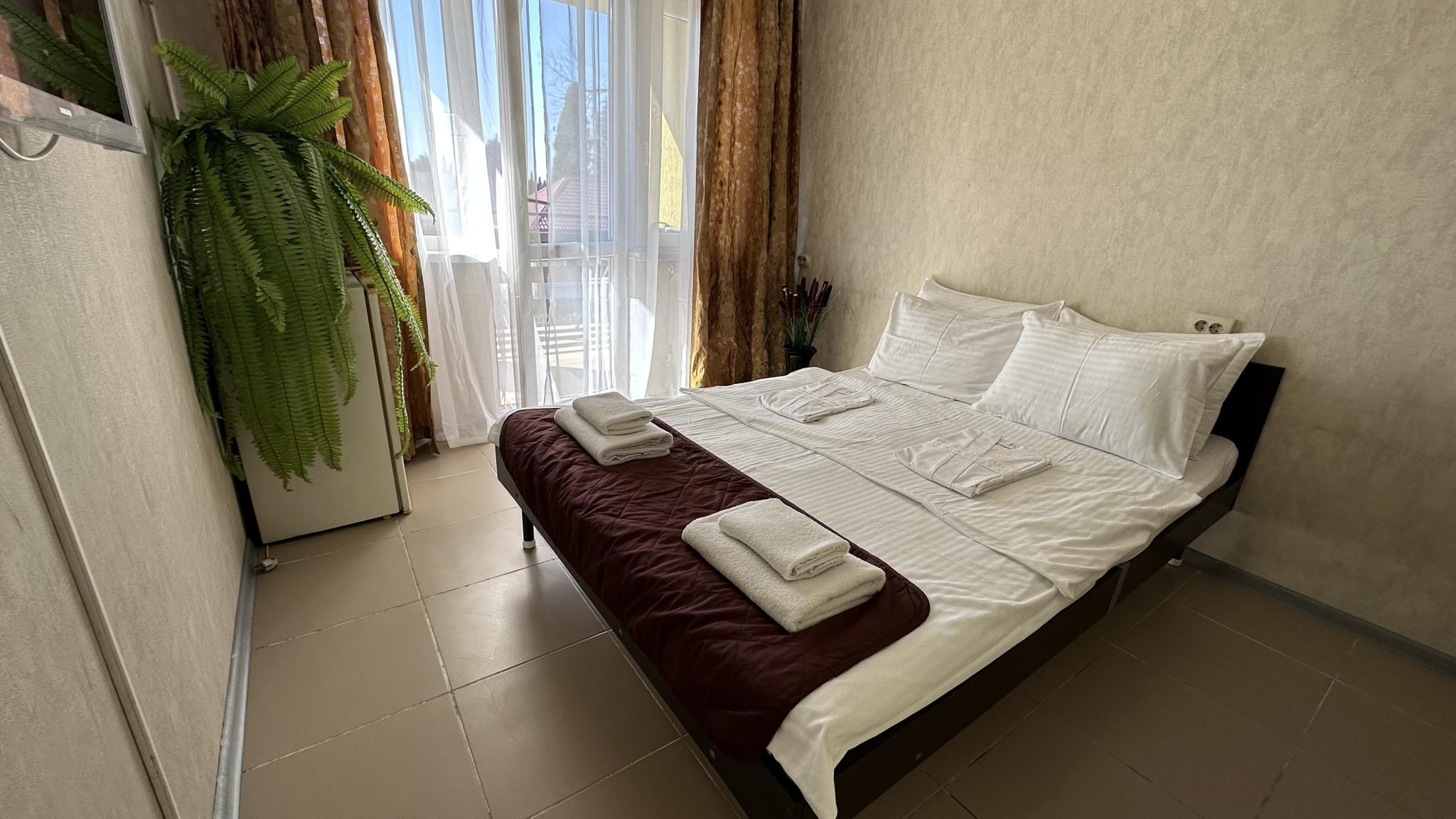 Фото Орхидея