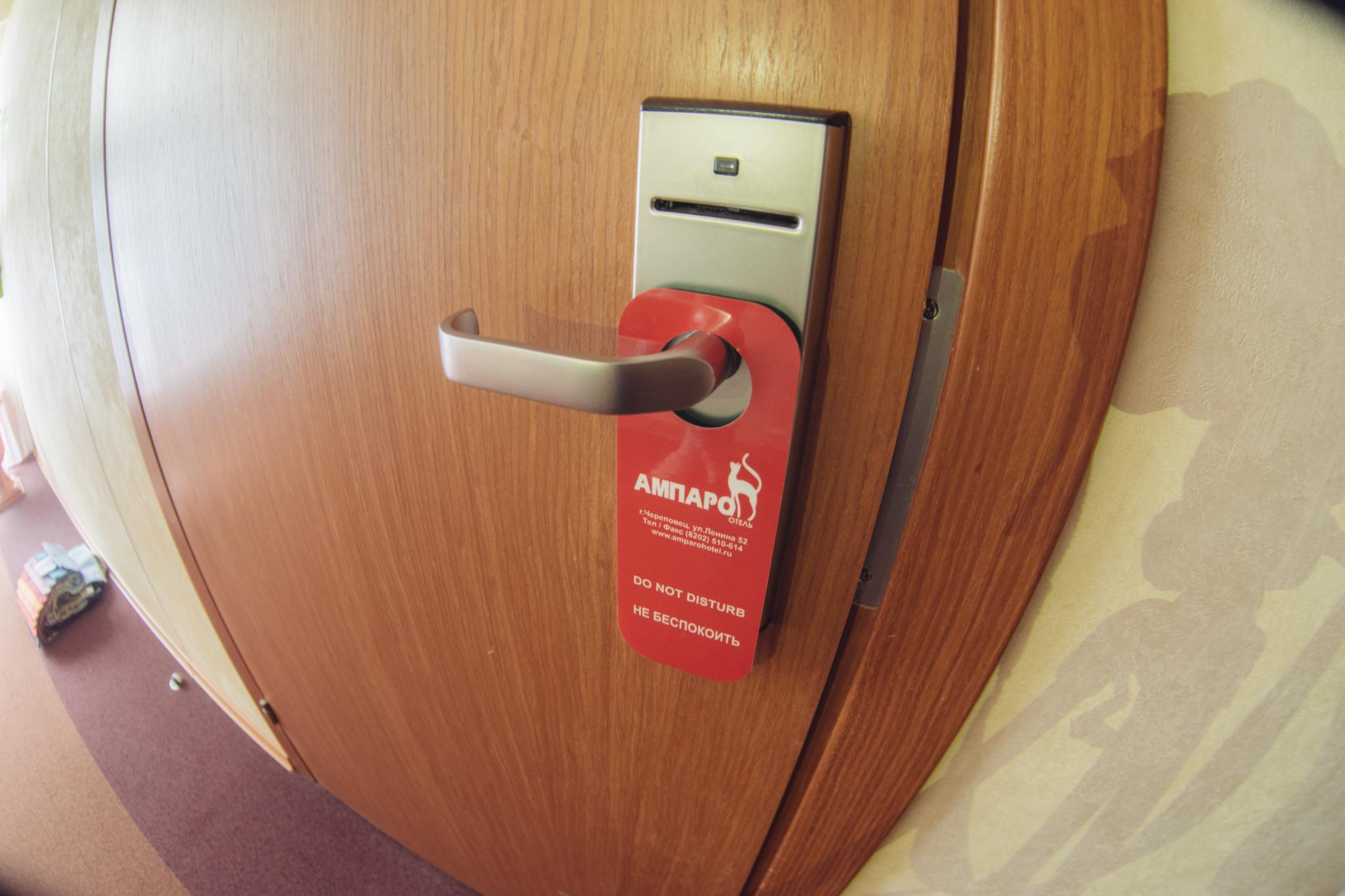 Фото Ампаро