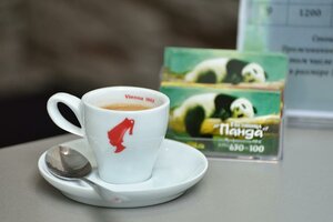 Гостиница Панда