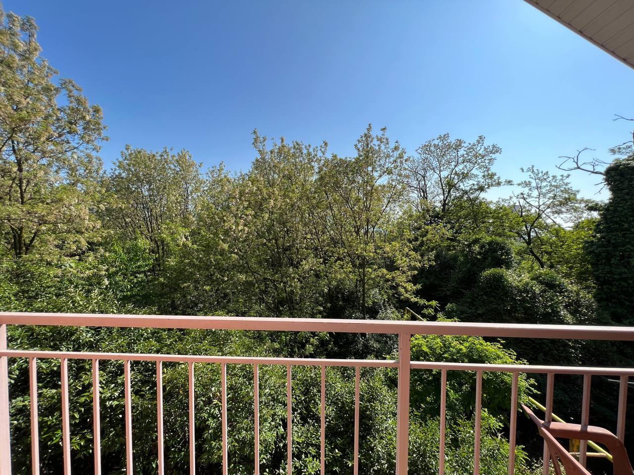 Фото Счастливый Слон