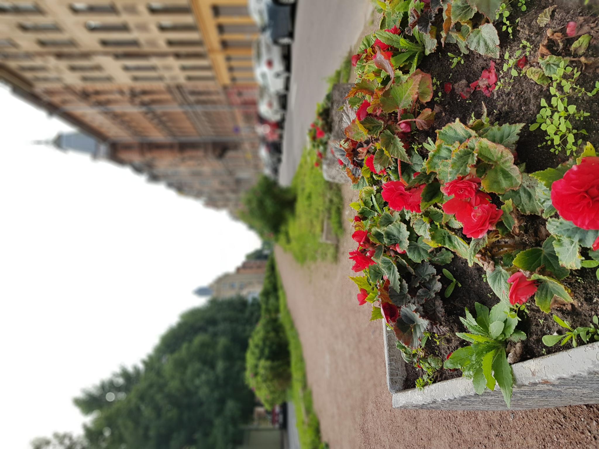 Фото Welcomerooms на 15-я линия Васильевского острова 74