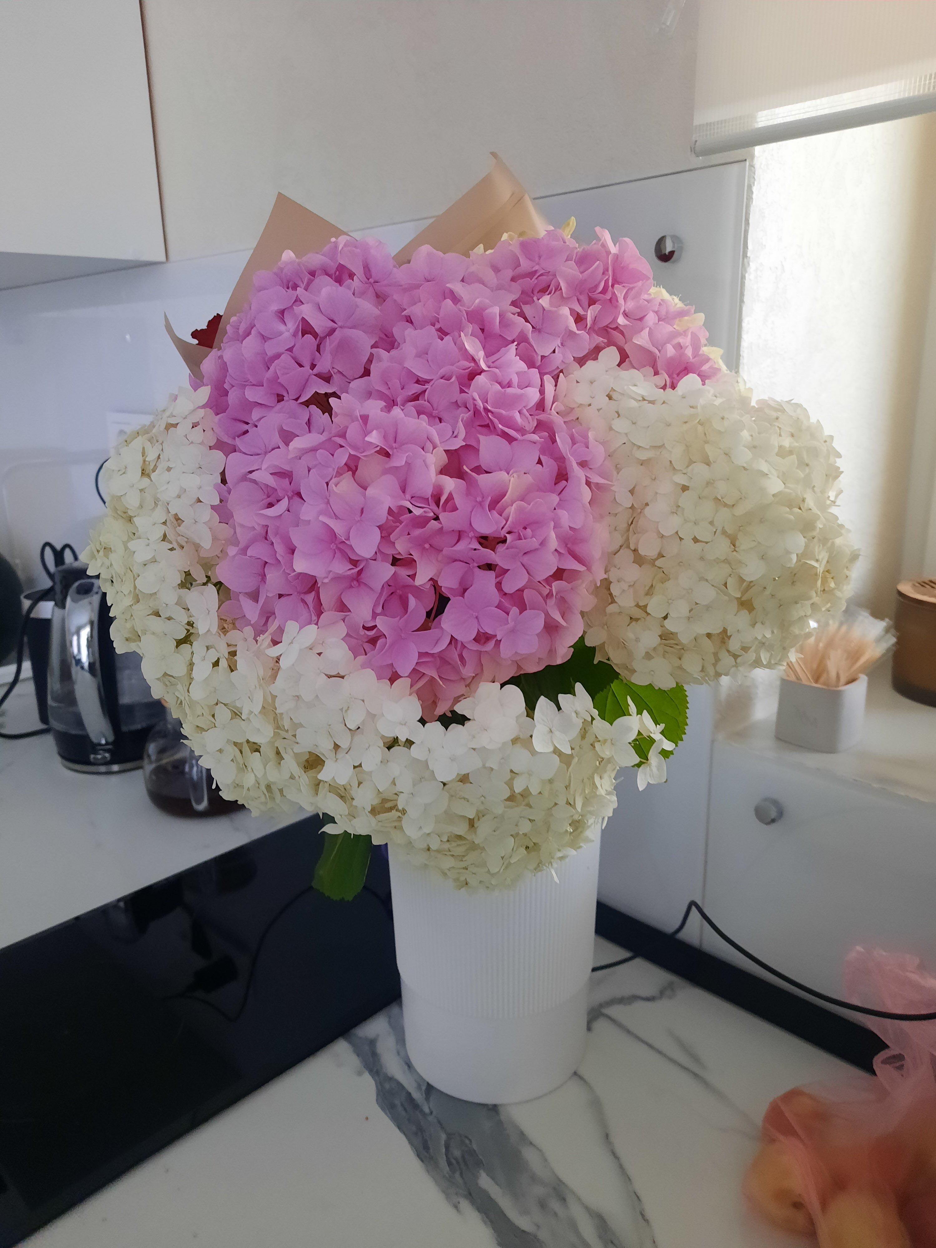 Фото Twins House