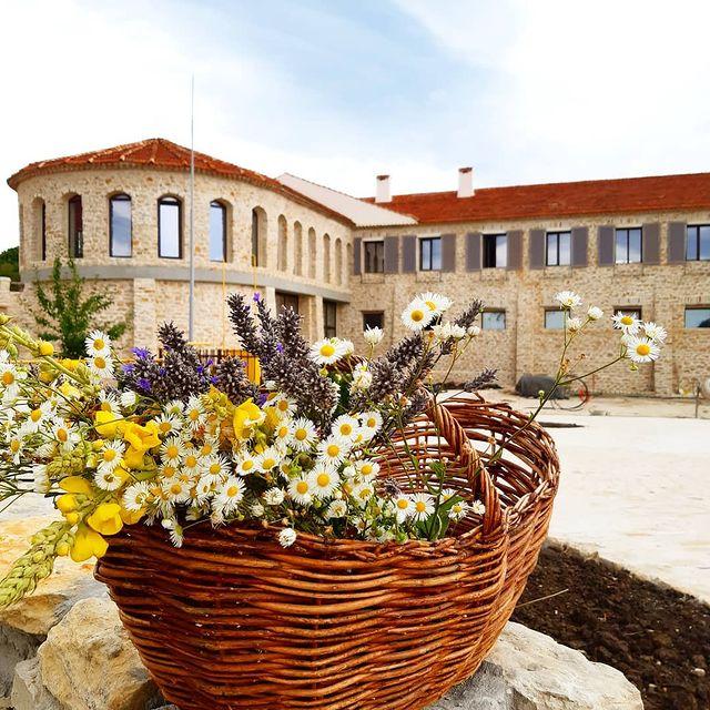 Фото Шато Андре