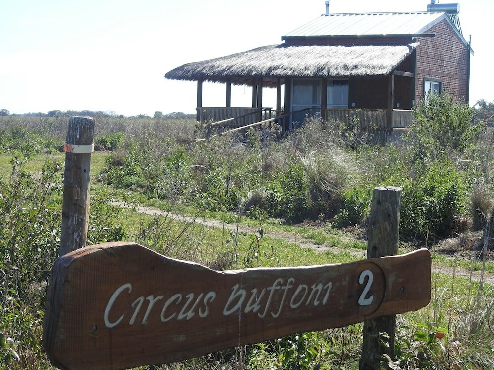 Фото Wild Wetlands Lodge