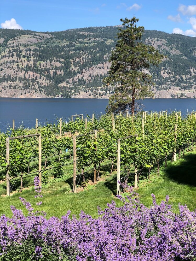 Фото Château Okanagan