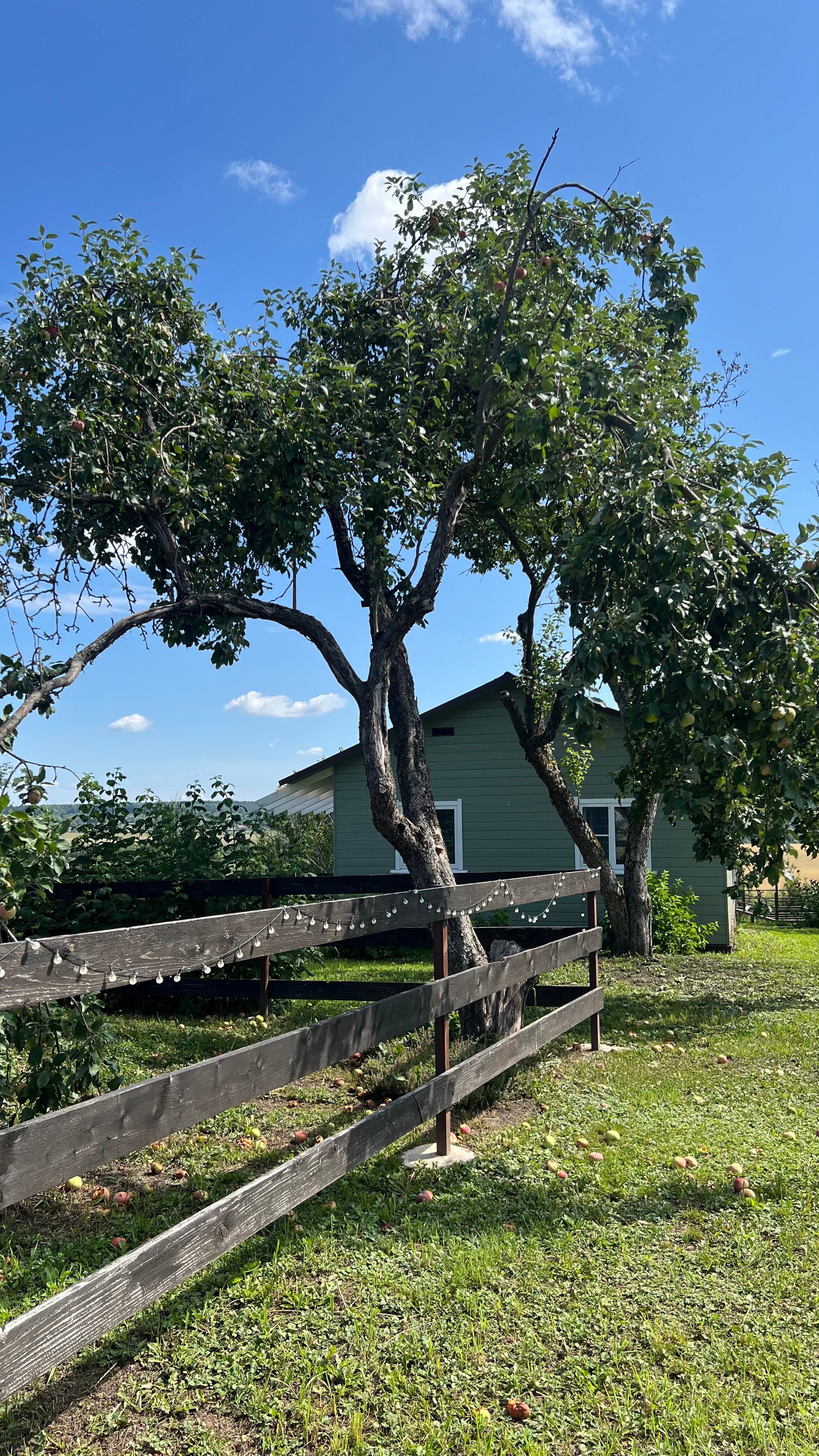 Фото ДомСорок