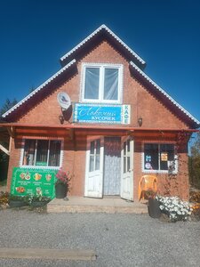 Лакомый кусочек (Chelyabinsk Region, Kizilskiy rayon, Izmaylovskoye selskoye poseleniye), cafe