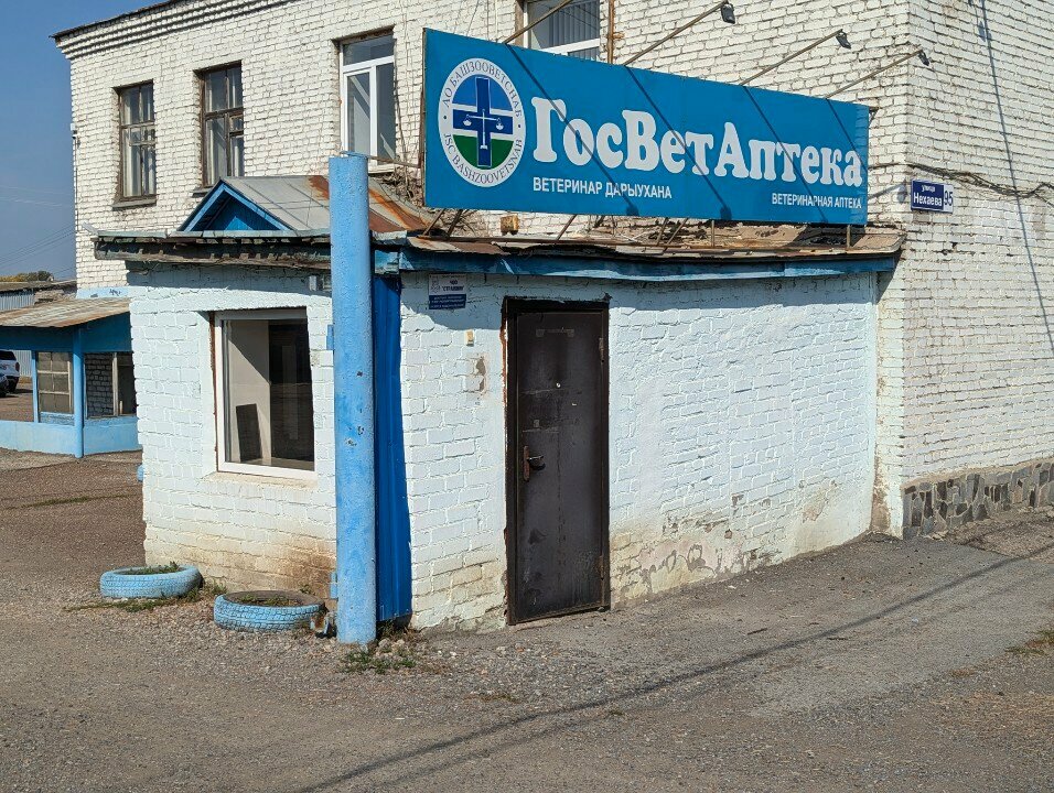 Veterinary clinic Ветеринарный кабинет, Ufa, photo