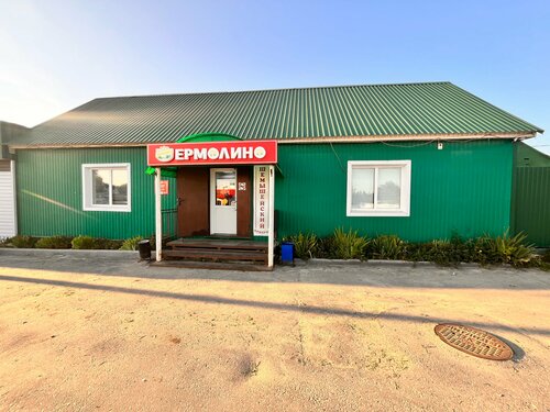 Frozen food products Yermolino, Penza Oblast, photo