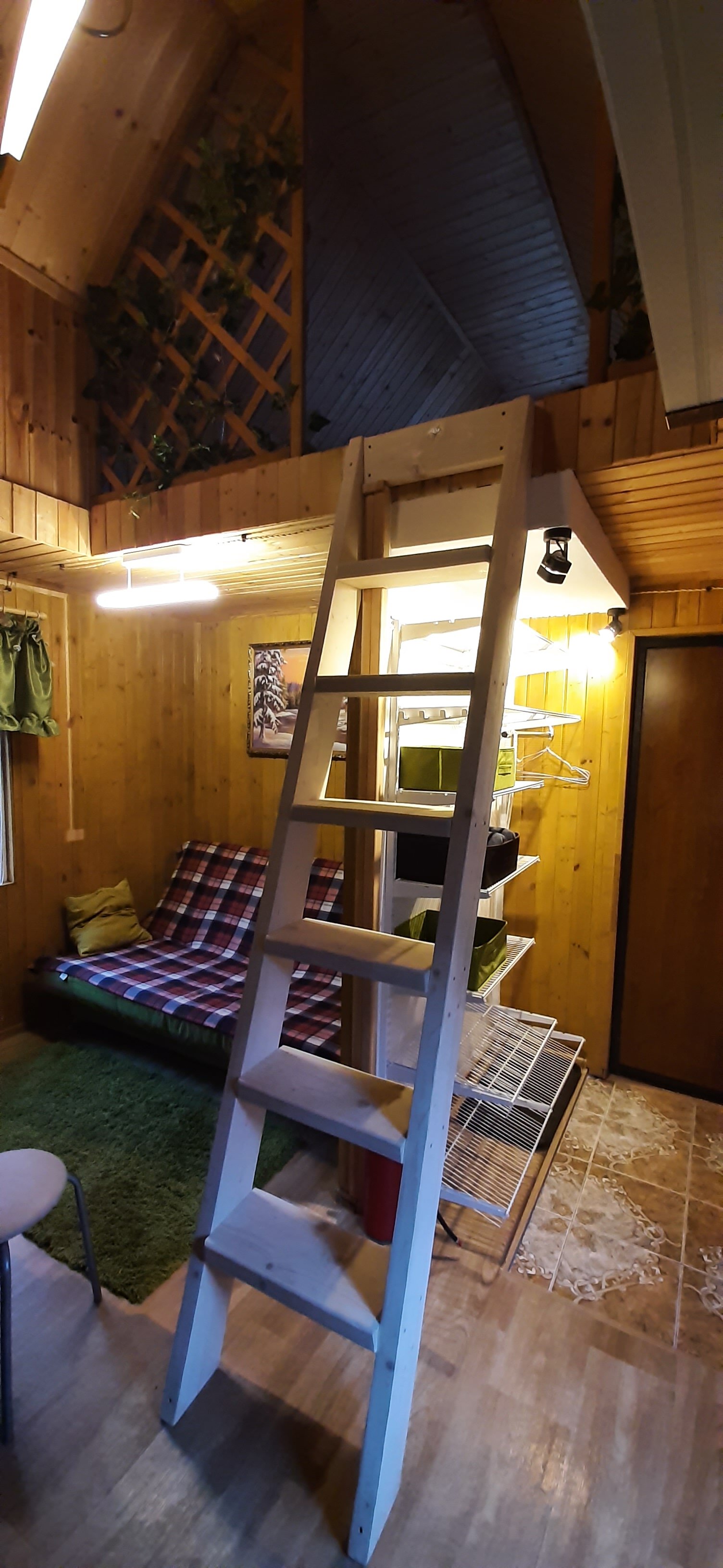 Фото Чилли на вилли