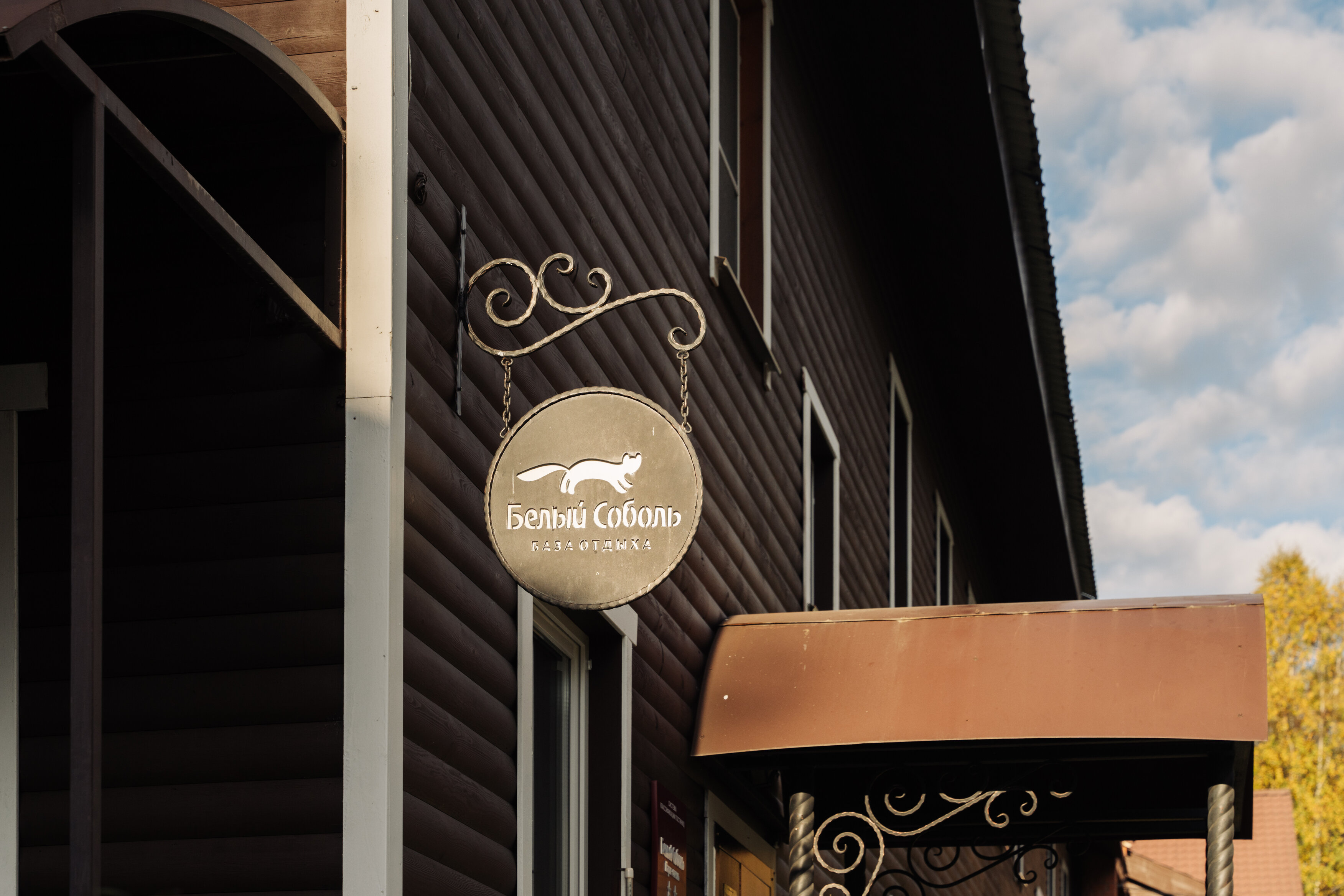 Фото Белый соболь