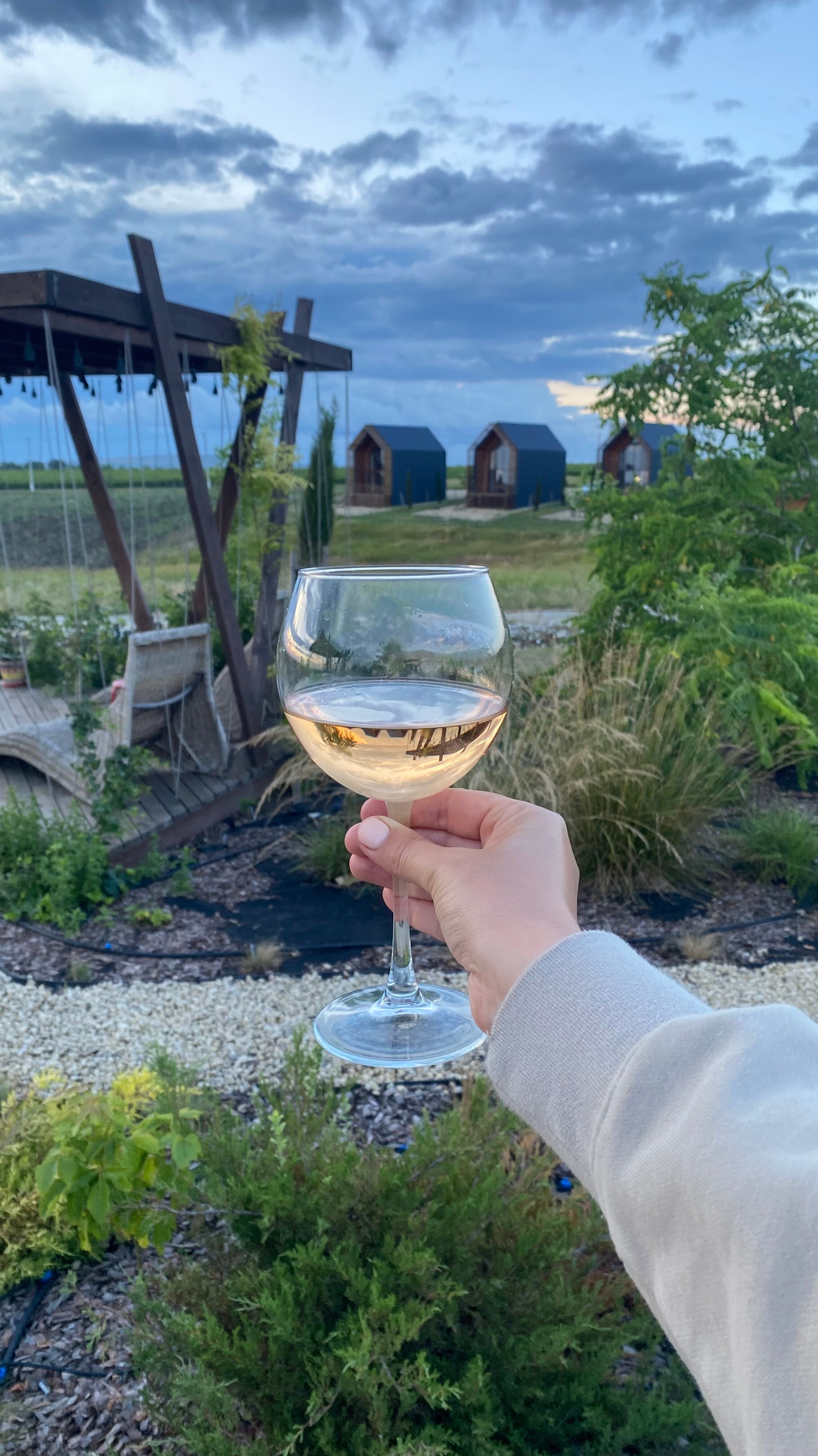 Фото Фридом