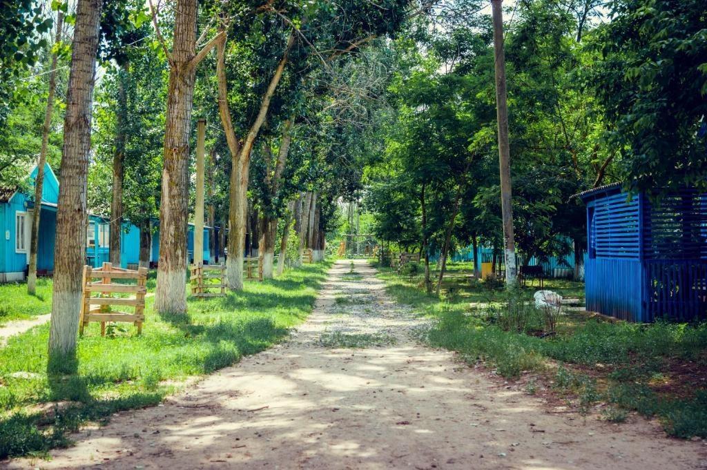 Фото Росинка