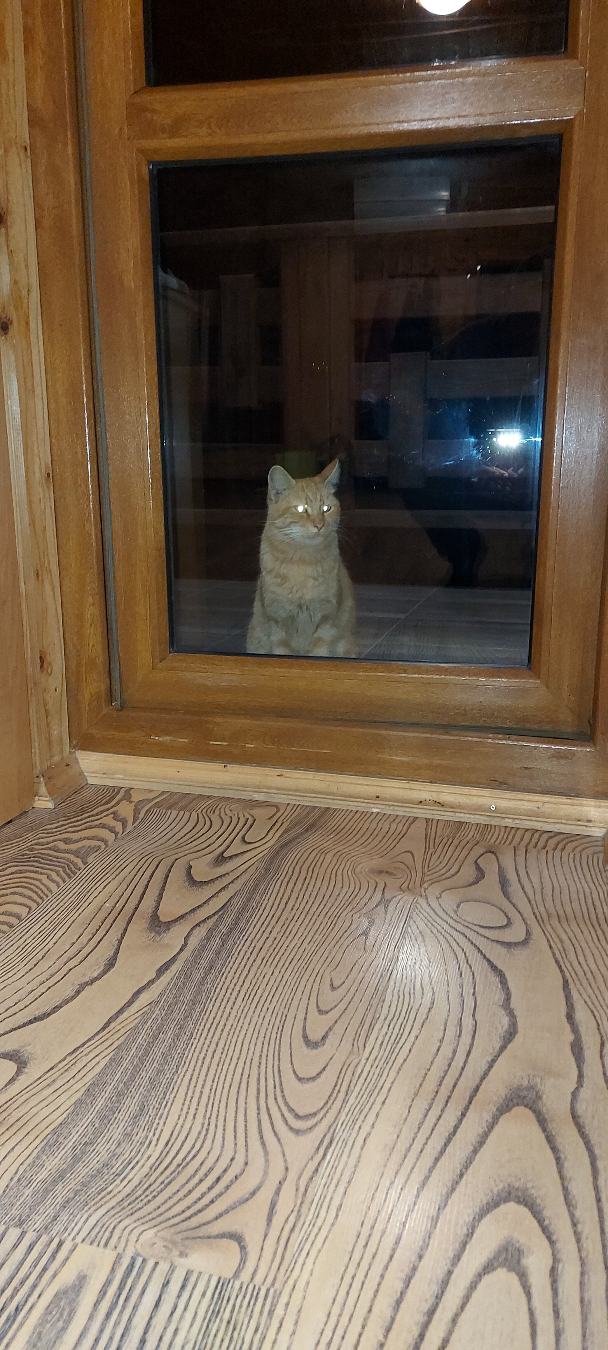 Фото Лесная Сказка